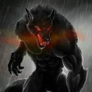 Meet your Posher, Lucian